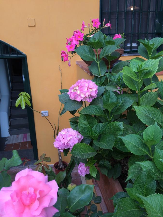Rosaria Amalfi Coast Bed and breakfast 3*